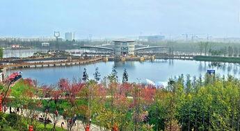 锦城春色,繁华都市中的诗意画卷