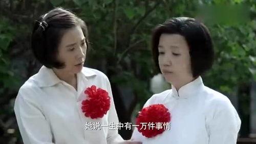 只愿海棠依旧,传承与变迁中的美丽传奇