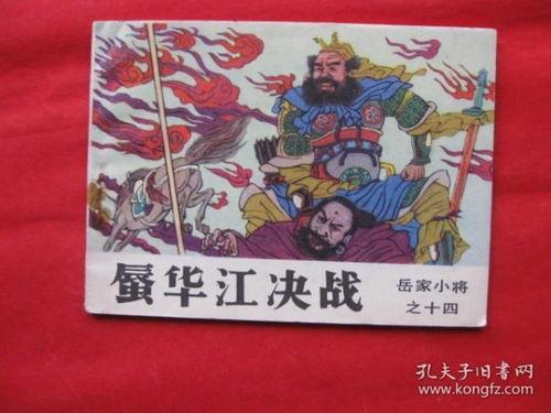 岳家小将,英勇少年抗金传奇