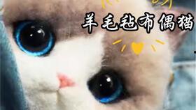 十九只海獭,十九只海獭的奇妙冒险之旅