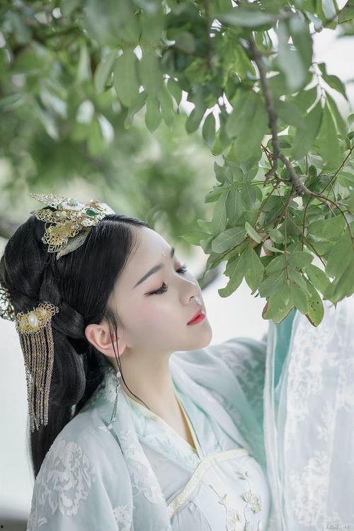 人在修仙界白月光选择跟着反派混,与反派共舞修仙界风云