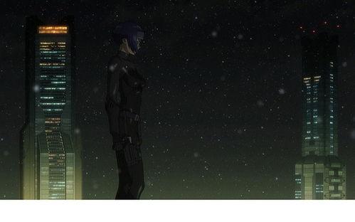 攻壳机动队：崛起4