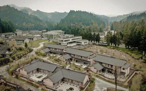 鹿隐千层林,探寻神秘森林的生态秘境