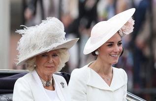 不情愿的皇室,揭开王室背后的无奈与挣扎