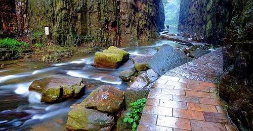 隘谷 2019,探索与变革的一年