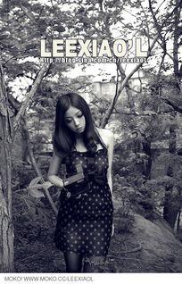 黑白李,探寻传统与创新的交融之美