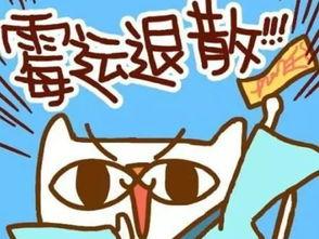 运气好的日子,揭秘最佳吉日，助你事业腾飞、生活美满