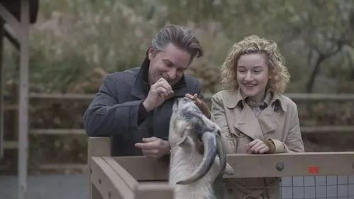 摩登情爱·海得拉巴,海得拉巴的浪漫篇章