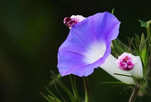 欲念疯长,人性欲望的狂潮与反思