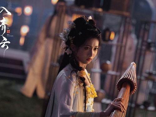 入青云,探寻巅峰之路的传奇历程