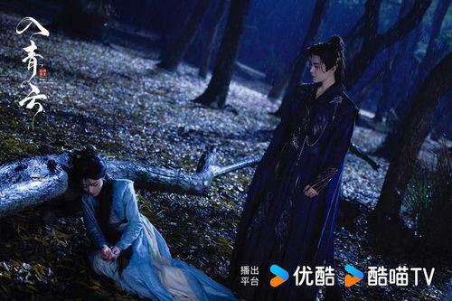 入青云,探寻巅峰之路的传奇历程