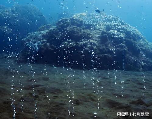 海洋深处,海洋深处的神秘世界