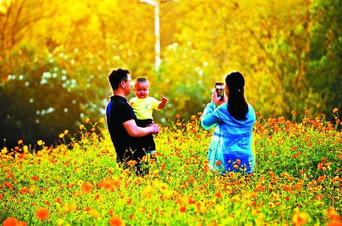 幸福时光,温馨回忆里的温馨瞬间