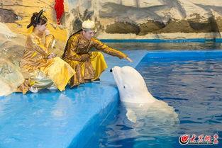 海洋公园的皇帝