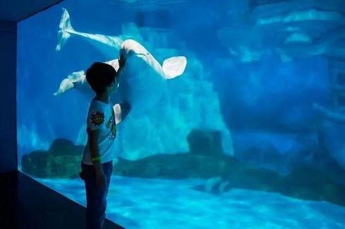 海洋公园的皇帝