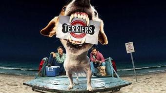 无厘头侦探,荒诞探案，笑料百出