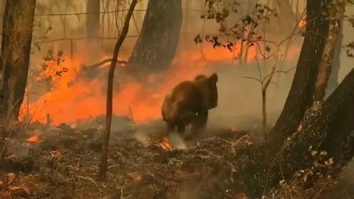 幸免于人类进步