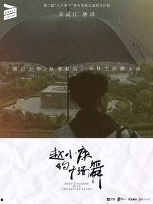 赵小康的广场舞,舞动青春，乐享晚年