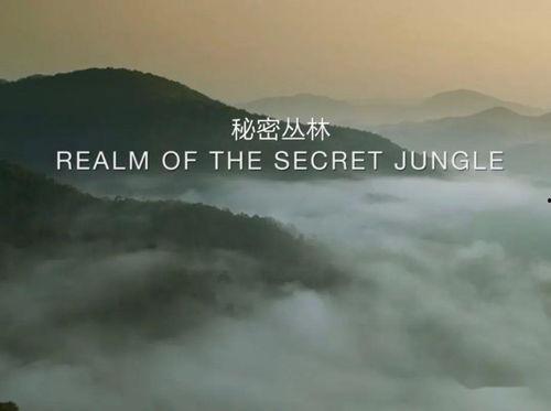 未至之境 普通话版