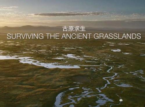 未至之境 普通话版